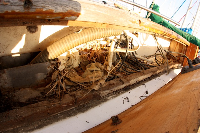 Bumfuzzle Boat